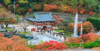 ทัวร์ญี่ปุ่น โอซาก้า ฮิเมจิ เกียวโต  ปราสาทโอซาก้า สวนกวางนารา