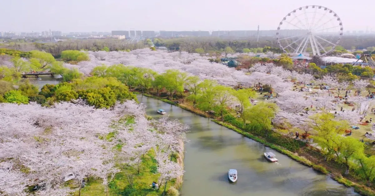 ทัวร์จีน มหัศจรรย์ เซี่ยงไฮ้ ดิสนีย์แลนด์ สวนกู้ชุน หาดไว่ทาน