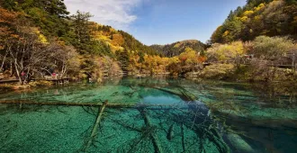 ทัวร์จีน เฉิงตู จิ่วจ้ายโกว ปี้เผิงโกว สี่ดรุณี แพนด้าปีนตึก IFS ใบไม้เปลี่ยนสี