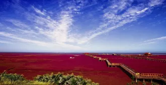ทัวร์จีน เสิ่นหยาง ต้าเหลียน อุทยานกวานเหมินซาน ทุ่งหญ้าแดงผานจิ่น เมืองน้ำเวนิสตะวันออก