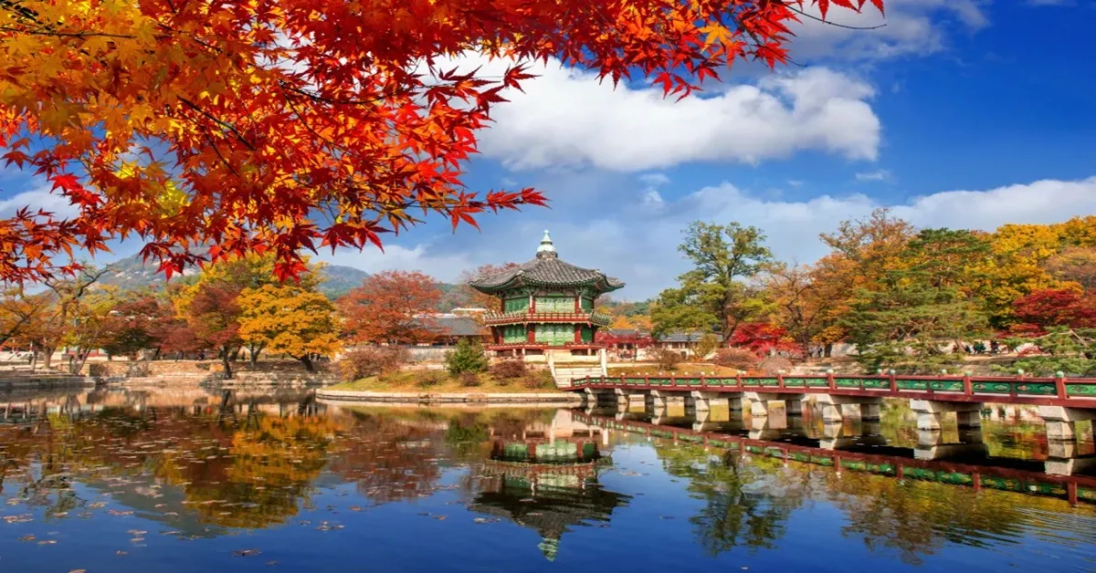 ทัวร์เกาหลี โซล ซอรัคซาน เกาะนามิ สวนสนุกเอเวอร์แลนด์ พระราชวังเคียงบก