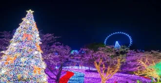 ทัวร์ญี่ปุ่น โตเกียว ฟูจิ ลานสกี เทศกาลประดับไฟซากามิโกะ