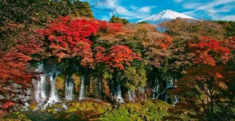 ทัวร์ญี่ปุ่น โตเกียว วัดอาซากุสะ อุโมงค์ใบเมเปิ้ล น้ำตกชิราอิโตะ
