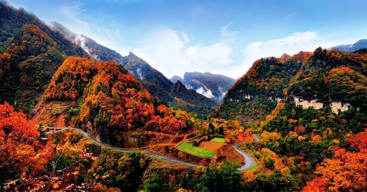 ทัวร์จีน เฉิงตู อุทยานกวงวู่ซาน อุทยานเขาหมี่ชางซาน หุบเขาหมีดำ