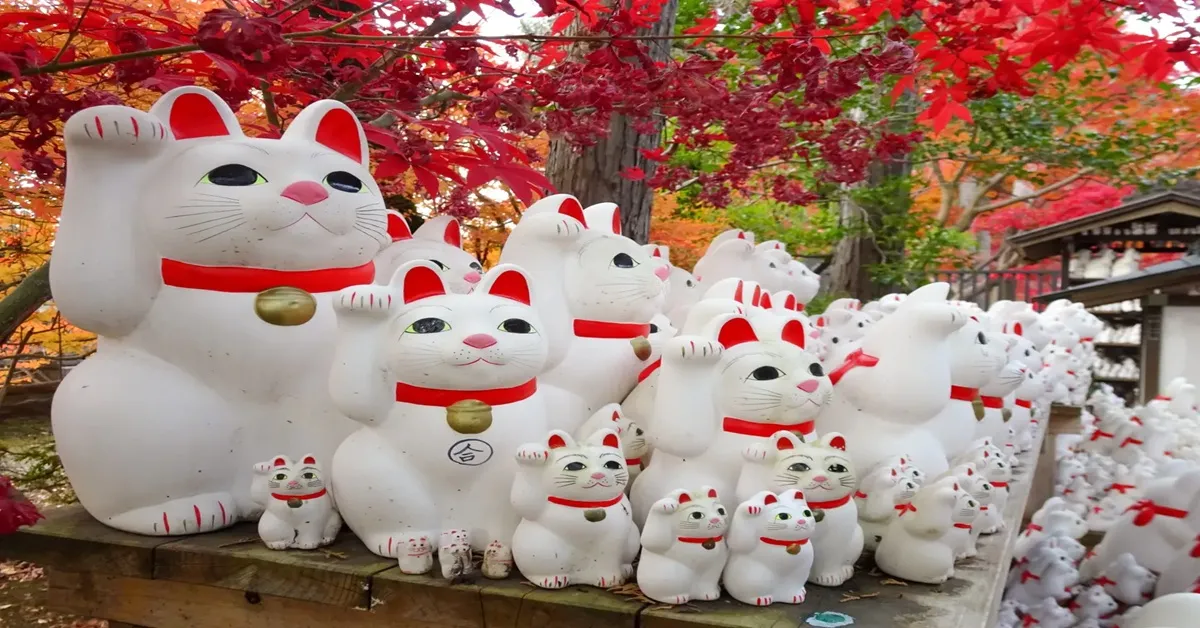 ทัวร์ญี่ปุ่น โตเกียว โทโดโรกิ หุบเขาโทโดโรกิ วัดแมวกวักโกโตคุจิ