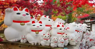 ทัวร์ญี่ปุ่น โตเกียว โทโดโรกิ หุบเขาโทโดโรกิ วัดแมวกวักโกโตคุจิ
