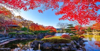 ทัวร์ญี่ปุ่น โตเกียว คาวาโกเอะ อุโมงค์เมเปิ้ล สวนซากุระยามะ รถไฟเอโนะเด็น