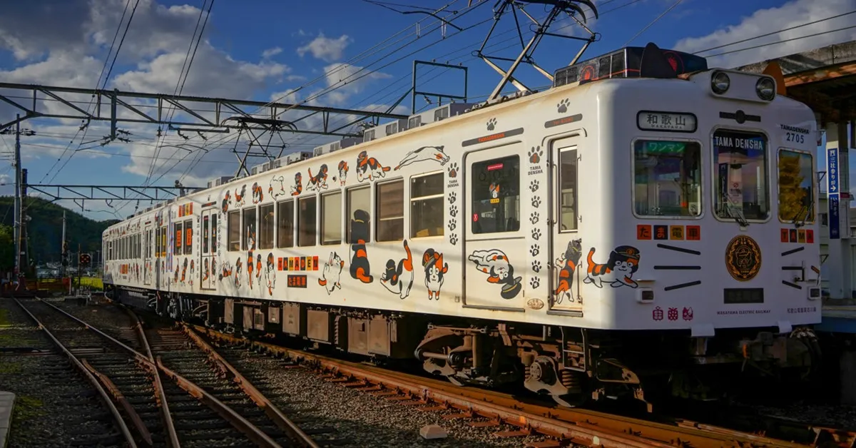 ทัวร์ญี่ปุ่น โอซาก้า เกียวโต นั่งรถไฟสายแมวเหมียวทามะ วัดคิโยมิสึ ปราสาทโอซาก้า ชมซากุระ