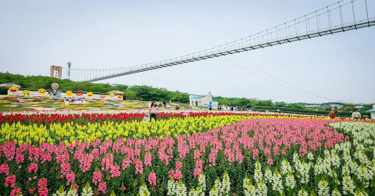 ทัวร์จีน เฉิงตู ตูเจียงเยี่ยน อุทยานปี้เผิงโกว สะพานหนานเฉียว สวนดอกไม้ม่านฮัว