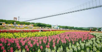 ทัวร์จีน เฉิงตู ตูเจียงเยี่ยน อุทยานปี้เผิงโกว สะพานหนานเฉียว สวนดอกไม้ม่านฮัว