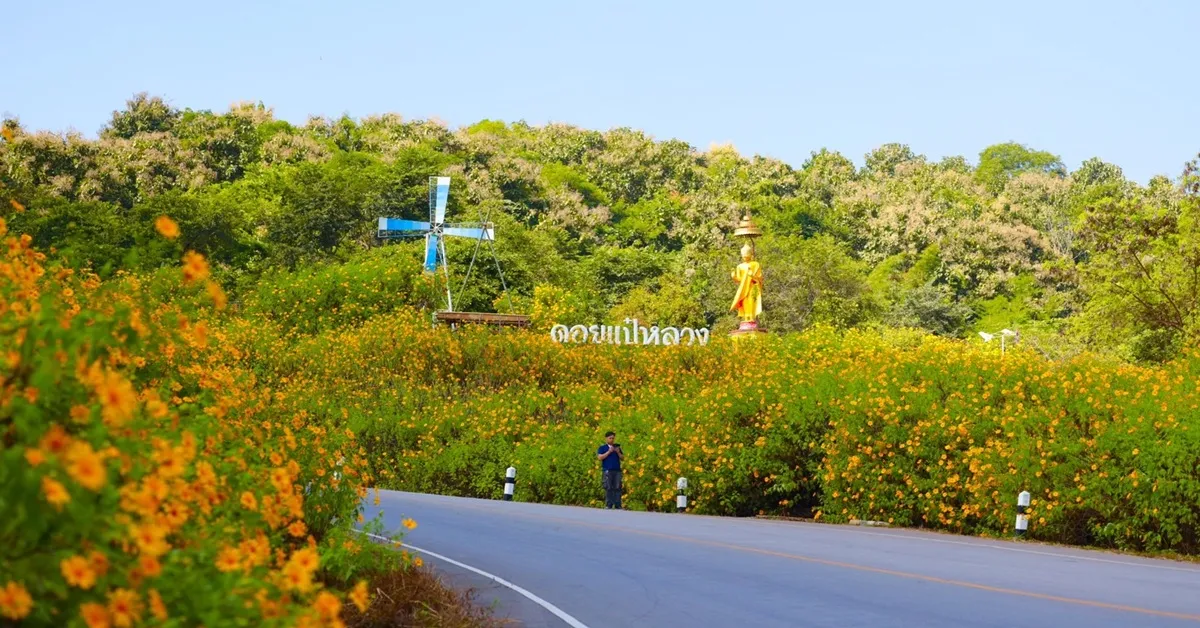 ทัวร์ไทย ลาว เชียงราย ลำพูน คิงส์โรมัน ทุ่งดอกบัวตองดอยแป๋หลวง เทศกาลโคมแสนดวง วัดพระธาตุหริภุญชัย เวนิสลาว