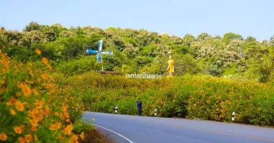 รูปภาพทัวร์