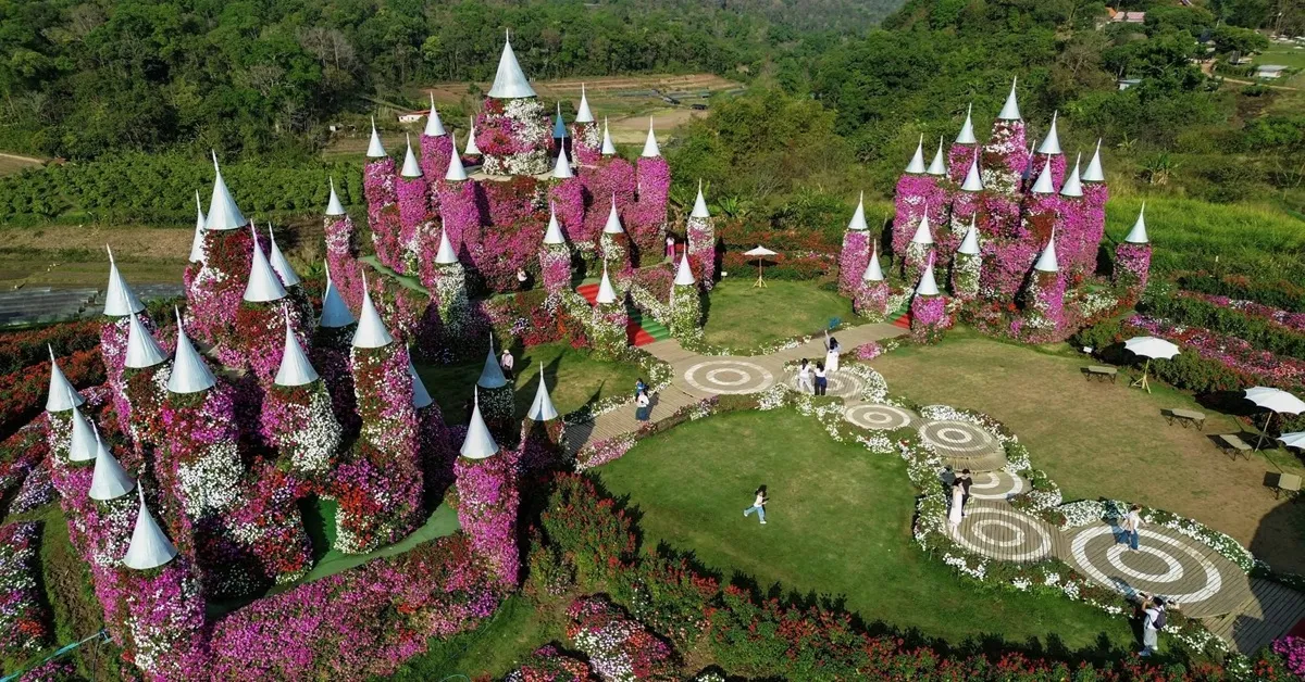 ทัวร์ไทย แม่ฮ่องสอน เชียงใหม่ บ้านรักไทย ปราสาทดอกไม้ม่อนแจ่ม ป่าสนวัดจันทร์