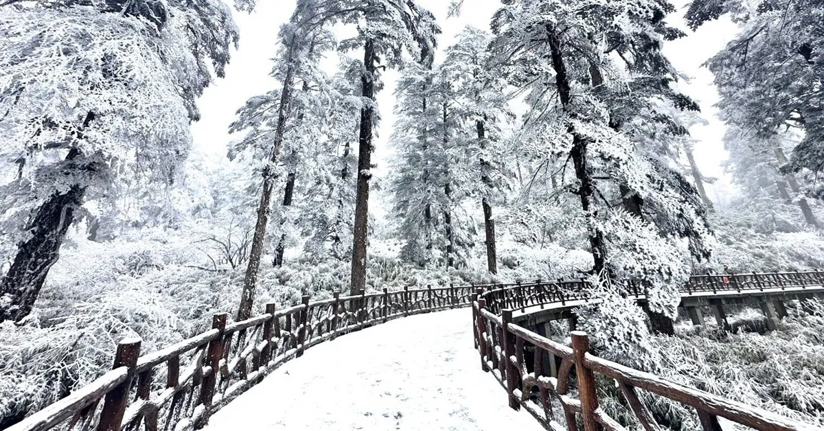 ทัวร์จีน เฉิงตู ภูเขาหิมะวาวู่ สี่ดรุณี สะพานหนานเฉียว