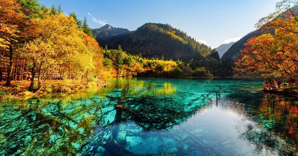 ทัวร์จีน เฉิงตู อุทยานภูเขาสี่ดรุณี หอสมุดจงซูเก๋อ ถนนซอยกว้างซอยแคบ
