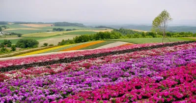 รูปภาพทัวร์