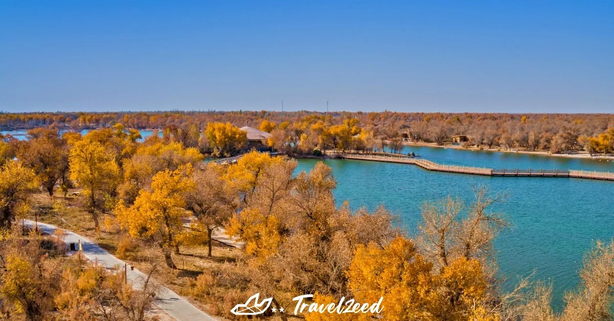 China South Xinjiang Kashgar Baisha Lake Karakul Lake Autumn - ทัวร์จีน ซินเจียงใต้ คัชการ์ ทะเลสาบไป๋ซาหู ทะเลสาบคาลาคู่เล่อ ป่าหูหยาง ใบไม้เปลี่ยนสี (บินภายใน 2 เที่ยว + ไม่ลงร้าน)
