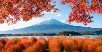 Japan Osaka Tokyo Takayama Nagano Oishi Park - ทัวร์ญี่ปุ่น โอซาก้า โตเกียว ทาคายาม่า นากาโนะ ชมดอกไม้สวนโออิชิ ปาร์ค 