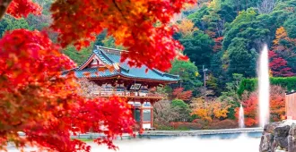 Japan Osaka Kyoto Nara Universal Studios Autumn Free Day  - ทัวร์ญี่ปุ่น โอซาก้า เกียวโต นารา ยูนิเวอร์แซลสตูดิโอ เช็คอินวัดน้ำใสมรดกโลก ใบไม้เปลี่ยนสี (อิสระ 1 วัน)
