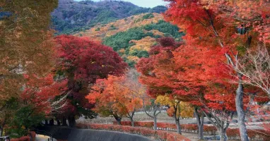 รูปภาพทัวร์