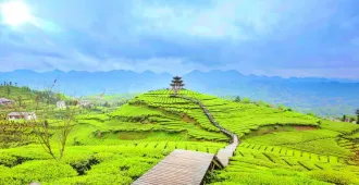 China Yichang Enshi Xuanen - ทัวร์จีน ละไม ซุปตาร์ อี๋ชาง เอินซือ เซียนเอิน ทำใจแทบละลาย ภูเขาไร่ชาอู่เจียไถ ไม่ลงร้าน