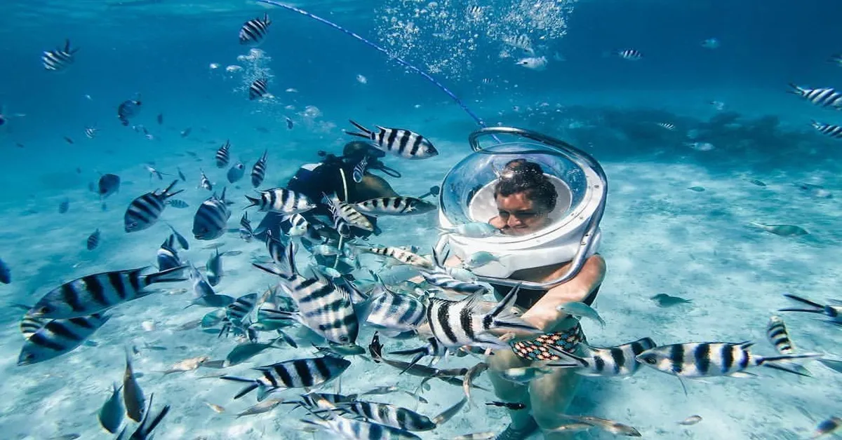 French Polynesia Bora Bora - ทัวร์ล่องเรือเฟรนช์โปลินีเซีย โบรา โบรา ตาฮิติ มหัศจรรย์หมู่เกาะแปซิฟิกใต้
