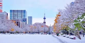 Japan  Hokkaido Sapporo Otaru Biei  Free Day - ทัวร์ญี่ปุ่น ฮอกไกโด ซัปโปโร โอตารุ บิเอะ อิสระท่องเที่ยว 1 วัน