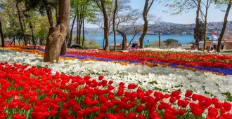 Turkiye Istanbul Canakkale kusadasi Pamukkale Cappadocia Emirgan Park - ทัวร์ตุรกี อิสตันบูล ชานัคคาเล่ คูซาดาซี ปามุคคาเล่ คัปปาโดเกีย สวนอีเมอร์กัน ชมดอกทิวลิป