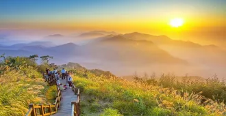 Taiwan Taipei Chiayi Taichung  Alishan - ทัวร์ไต้หวัน ไทเป เจียอี้ ไตชุง  ชมวิวบนอุทยานแห่งชาติอาลีซาน เส้นทางรถไฟที่สวยที่สุดในโลก