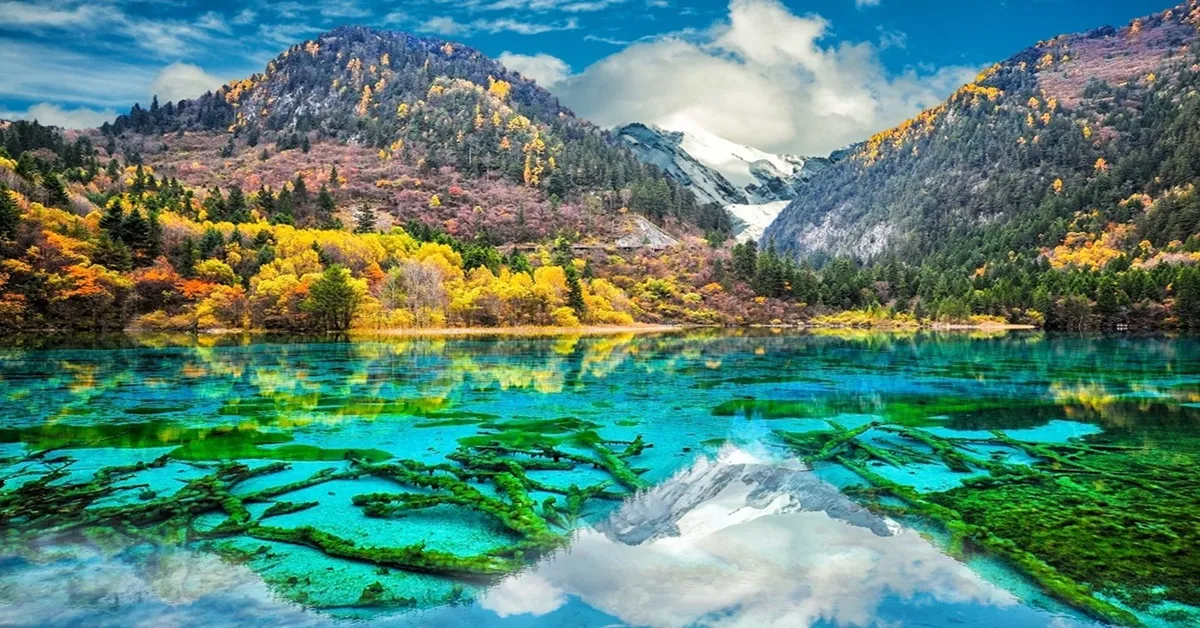 China Chengdu Jiuzhaigou  - ทัวร์จีน เฉิงตู อุทยานจิ่วจ้ายโกว อิสระท่องเที่ยว 1 วัน  (ไม่ลงร้าน)