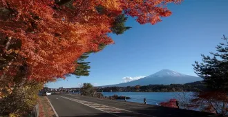 Japan Tokyo Shizuoka Yamanashi Autumn - ทัวร์ญี่ปุ่น โตเกียว ชิซูโอกะ ยามานาชิ ใบไม้เปลี่ยนสี