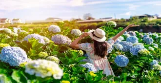 South Vietnam Ho Chi Minh Dalat Mui Ne Hydrengea - ทัวร์เวียดนามใต้ มหัศจรรย์...โฮจิมินห์ ดาลัด มุยเน่ สวนดอกไม้ไฮเดรนเยีย 