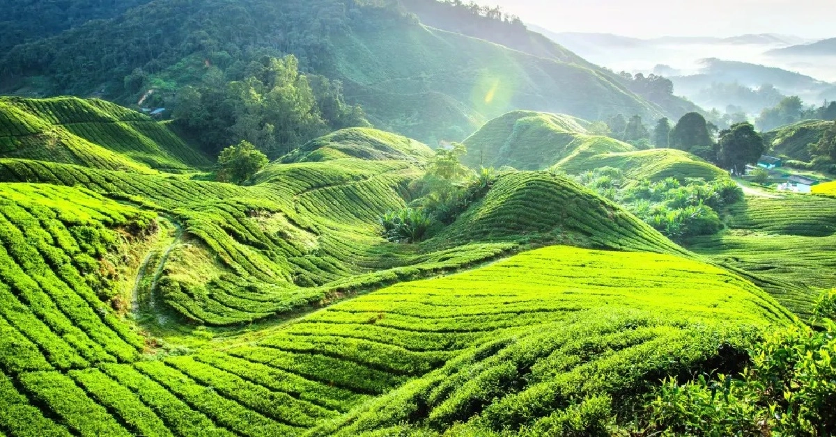 รูปภาพทัวร์