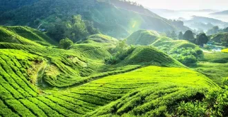 Grand Malaysia Melaka Putrajaya Kuala Lumpur Cameron genting - ทัวร์มาเลเซีย มะละกา ปุตราจายา กัวลาลัมเปอร์ คาเมรอน เก็นติ้งไฮแลนด์