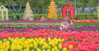 Taiwan Taipei Taichung Nantou Alishan Shilin Flower Garden - ทัวร์ไต้หวัน มหัศจรรย์... ไทเป ไถจง หนานโถว อาลีซาน เที่ยวชมสวนดอกไม้ซื่อหลิน 