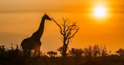 รูปภาพทัวร์