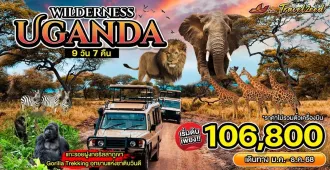 Wilderness Uganda - แพ็คเกจทัวร์ส่วนตัวยูกันดา ท่องซาฟารี แกะรอยฝูงกอริลล่าภูเขา