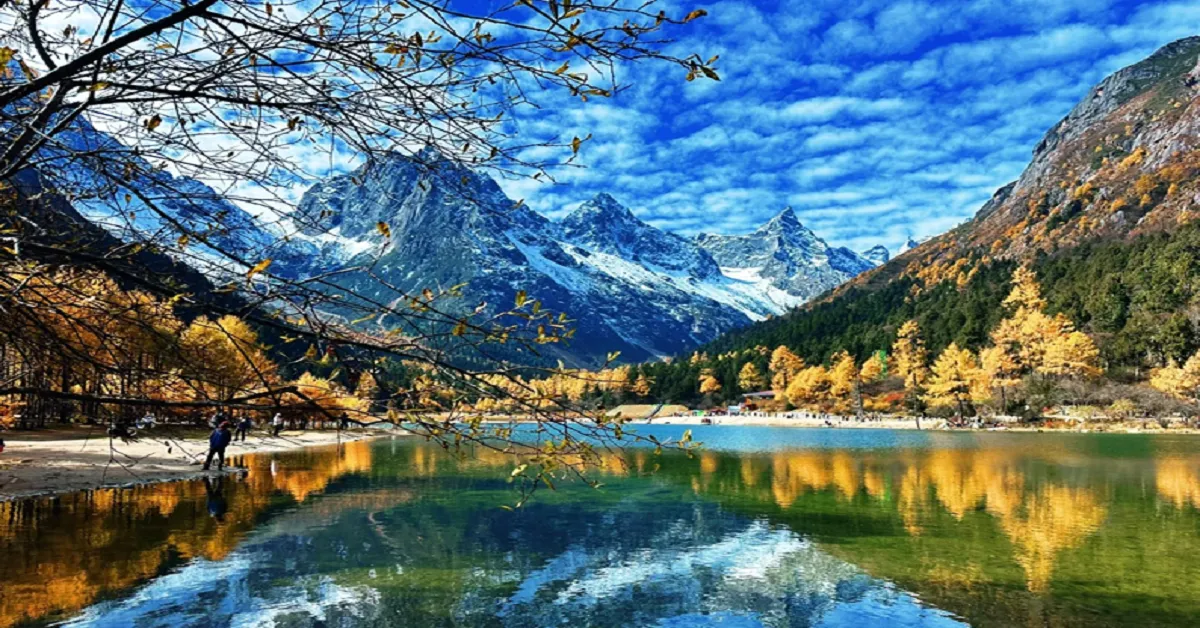 China Chengdu Bipenggou Siguniangshan Autumn - ทัวร์จีน เฉิงตู ปี้เผิงโกว หุบเขาสี่ดรุณี ซวงเฉียวโกว ชมการแสดงแสงสีน้ำตาสีฟ้า ใบไม้เปลี่ยนสี (ลงร้าน)