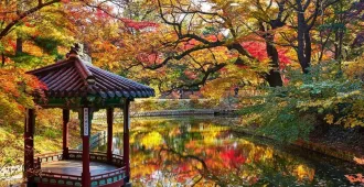 South Korea Seoul Incheon - ทัวร์เกาหลี โซล อินชอน ชมพระราชวังชางด็อกกุงและหมู่บ้านซกโช 