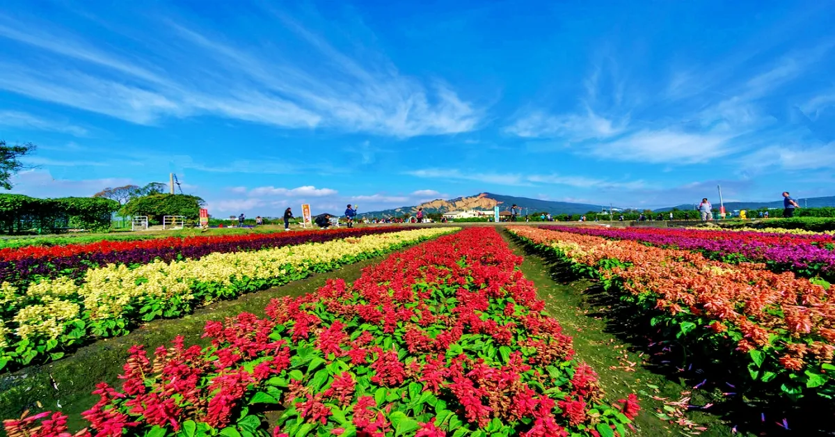 Taiwan Taichung Taipe Chiayi Sun Moon Lake Zhongshe Flower Market - ทัวร์ไต้หวัน ไทจง ไทเป เจียอี้ ล่องเรือสุริยันจันทรา ชมดอกไม้ฟาร์มจงเซ่อ