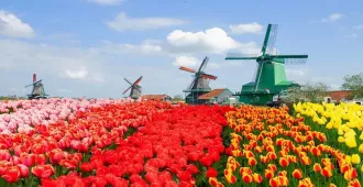 Benelux Germany Netherlands Belgium France Keukenhof Tulip Songkran  - ทัวร์เบเนลักซ์ เยอรมนี เนเธอร์แลนด์ เบลเยี่ยม ฝรั่งเศส สวนเคอเคนฮอฟ สงกรานต์
