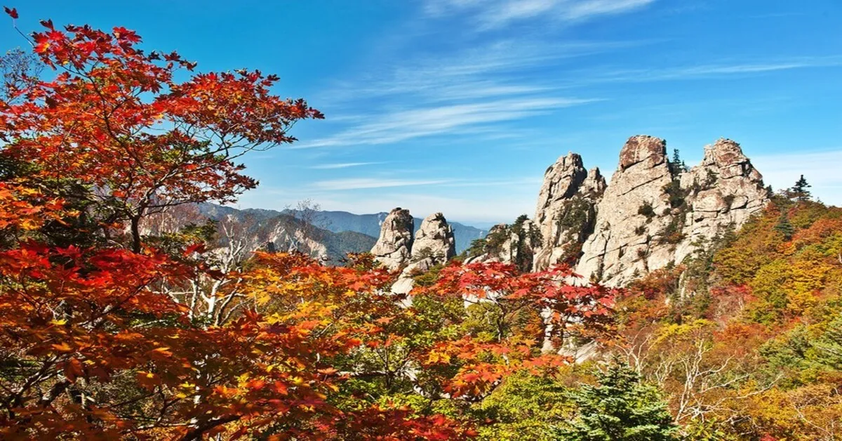 South Korea Seoul Everland Seoraksan National Park Autumn - ทัวร์เกาหลี กรุงโซล ตะลุยสวนสนุกเอเวอร์แลนด์ ชมใบไม้เปลี่ยนสีที่อุทยานแห่งชาติซอรัคซาน 