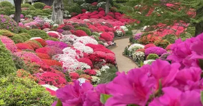 รูปภาพทัวร์