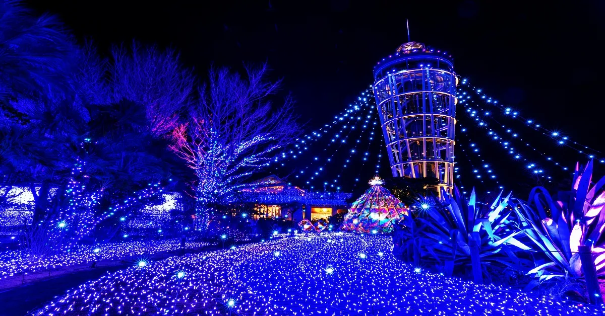 Japan Tokyo Narita Kamakura Fuji Enoshima Freeday Disneyland - ทัวร์ญี่ปุ่น ซุปตาร์ โตเกียว นาริตะ คามะคุระ ฟูจิ งานประดับไฟฤดูหนาวเอโนชิมะ ฟินทุกฟีล อิสระเต็มวัน ดิสนีย์แลนด์