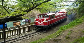 Taiwan Taipei Taichung Alishan Sun Moon Lake - ทัวร์ไต้หวัน ไทเป ไถจง อาลีซาน นั่งรถไฟสายไรแบนตึกที่อุทยาน ล่องเรือทะเลสานสุริยันจันทรา