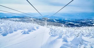 Japan Tokyo Nikko Fukushima Snow Monster - ทัวร์ญี่ปุ่น โตเกียว นิกโก้ ฟุกุชิมะ (อิสระ 1 วัน)