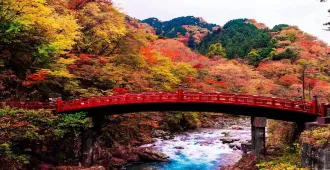 Japan Tokyo Nikko- ทัวร์ญี่ปุ่น โตเกียว ชมใบไม้เปลี่ยนสีนิกโก้ 