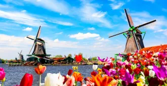 Europe Germany Netherlands Belgium France Flowers Bloom - ทัวร์ยุโรป เยอรมนี เนเธอร์แลนด์ เบลเยี่ยม ฝรั่งเศส ชมเทศกาลดอกไม้เคอเคนฮอฟ