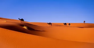 Morocco Casablanca Fez Marrakech Ouarzazate Rabat Sahara - ทัวร์โมร็อกโค คาซาบลังกา แฟส มาร์ราเกช วาร์ซาเซต ราบัต ขี่อูฐรับแสงอรุณ ท่องทะเลทรายซาฮาร่า 