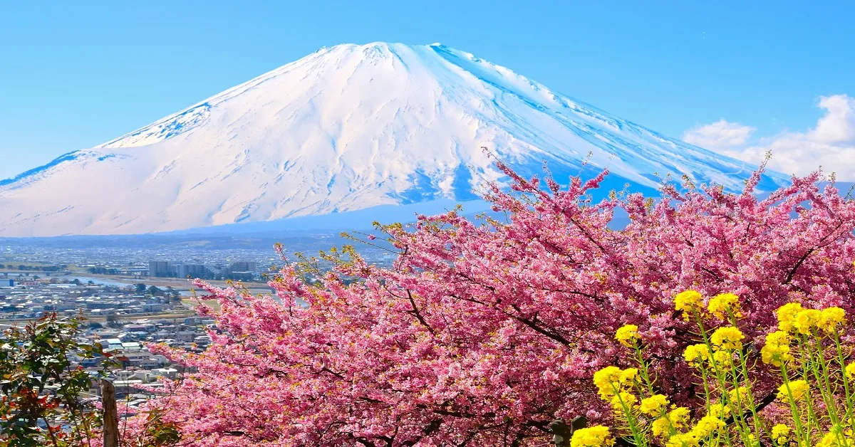 Japan Tokyo Sakura Matsuda Fujiten Disneyland Free Day - ทัวร์ญี่ปุ่น มหัศจรรย์ โตเกียว ซากุระมัตสึดะ ฟูจิเท็น ฟรีเดย์ ดิสนีย์แลนด์ (อิสระ 1 วัน)
